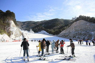 创景路免费停车场,杭州大明山滑雪场在哪里怎么去