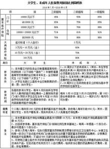 医保办服务之星推荐范文（进口表柔比星医保报销吗？）