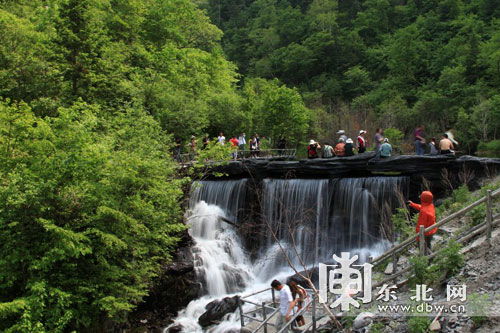 五凤凰山森林公园门票多少钱 (恩施凤凰山有免费停车场吗)