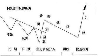 股市里看封单是不是在分价里看的