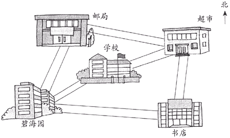 跟西北相对的方向是 ,跟西南相对的方向是 