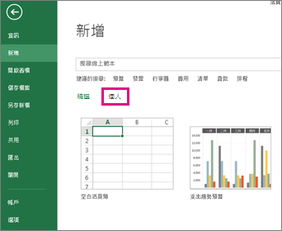 将活页簿另存为范本