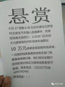 今日廊坊丨安次区一派出所所长涉杨玉忠案被双开