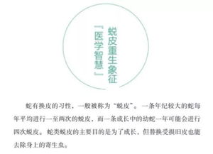 万物有意思 解说86个万物历史之谜,意想不到的历史真相 讲万物有意思的冷知识,让孩子一边学知识一边做有趣的人 