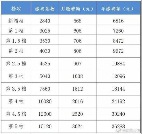 速看 江西2020年社保缴费基数又有新变化