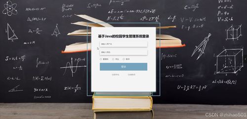 学校毕设系统查重背后的秘密：你真的了解吗？