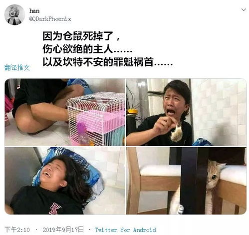 周杰伦室内戴墨镜的原因 因为是明星 哈哈哈 没毛病