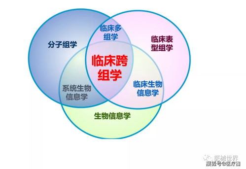 基于大数据和5G的精准放疗 已来的将来