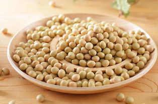 秋天吃黄豆有什么好处 秋天吃黄豆会发胖吗