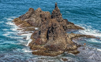 冲浪游戏排行榜：一场颠覆传统的冲浪冒险