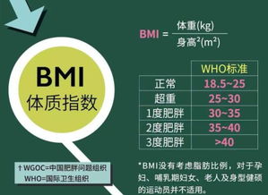 根据bmi评价其营养状况,营养评价显示bmi评价什么意思