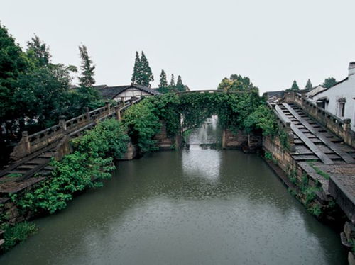 绍兴 安昌古镇 八字桥 芝林小九寨2日游 年度热销款,宿五星级度假酒店 含中西式自助早 享泳池或健身房,含门票0购物,千条真实点评