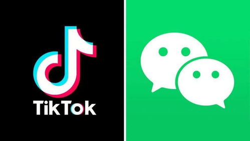 Tik Tok短视频跟国内短视频的区别_Tik Tok电商卖货玩法
