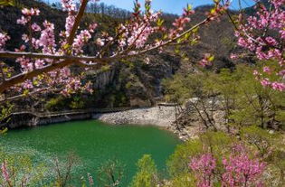 泰山桃花峪攻略,泰山桃花峪门票 游玩攻略 地址 图片 门票价格 