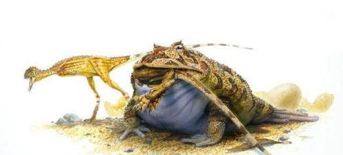 史上最大的青蛙,身披铠甲,长有獠牙,已恐龙为食 魔鬼 