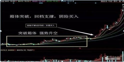 我想问下收益和PE（动）这两个指标在选股时重要？