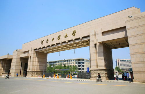 郑州大学一共几个学院