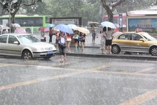 从今起到周六天天有雨 可算没那么闷了