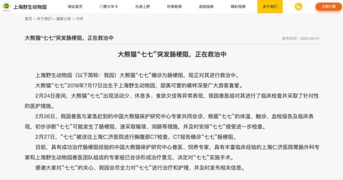 病人姓名熊猫,性别男 ,上海三甲医院这位患者身份不一般