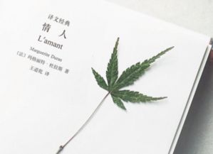 寓意比较好的微信网名文艺风 指尖温度为你而暖