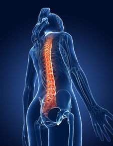 脊椎不好百病生 掌握这一招,缓解腰背疼痛,提升活力 