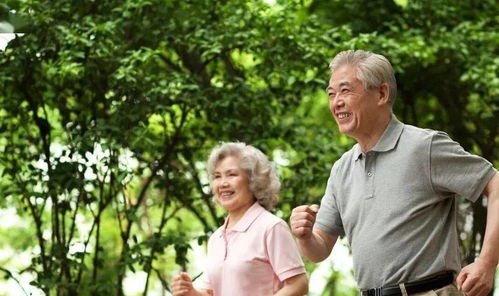 养儿养女都不防老,别等晚年才明白,这些事靠自己更重要