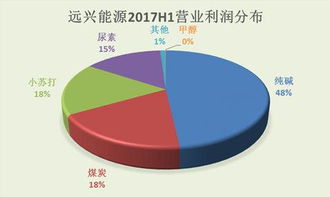 远兴能源停牌两个月昨天刚开牌就是个跌停板，不知道为什么，今天又会怎么样