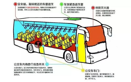 早鸟价最后一周已报90人 提高口语交流能力 户外综合技能刻不容缓 福州双语夏令营 使命召唤 火热招募 