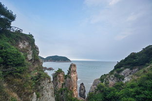 我梦见了紫色风,也吹不醒我看海的梦 温州洞头岛,苍南游记