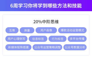 2022新媒体营销导师"；宋志高"；为何他能在那么短的时间内就成为“教育界”里顶顶有名的新媒体营销导师呢？他有什么招生策略呢?