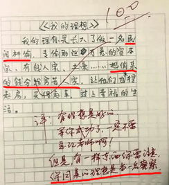 小学生 满分 作文走红,家长无力吐槽,老师 灵魂级段子手