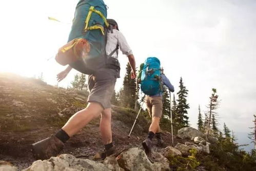 带孩子户外登山,2个安全要点要记住,家长不可大意