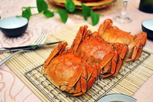什么时候是吃皮皮虾的季节 什么时候是吃螃蟹的季节 