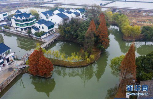 浙江湖州积极推进美丽乡村 精品村 建设