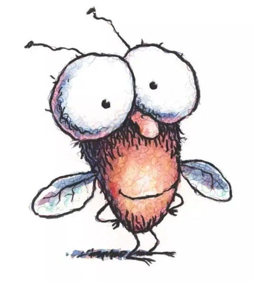 苍蝇如何成为宠物 绘本界的 奇葩 爆笑章节桥梁书 苍蝇小子 来啦