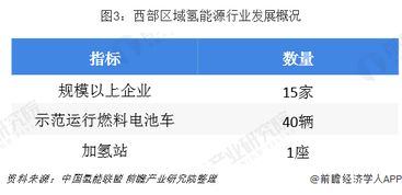 现在氢能源的市场如何？建个制氢的厂子大约需要多少投入？电解水的厂子