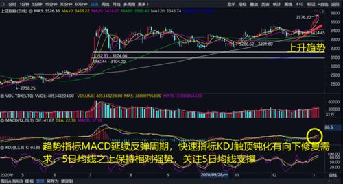 谁能解释一下‘日线级别的调整’这个概念