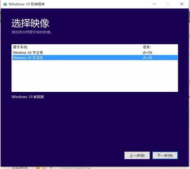 win10家庭中文版安装安卓模拟器蓝屏