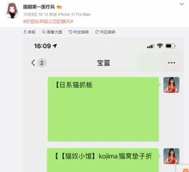 宝蓝在俱乐部养猫,rookie高情商求救,自己对猫过敏却无能为力