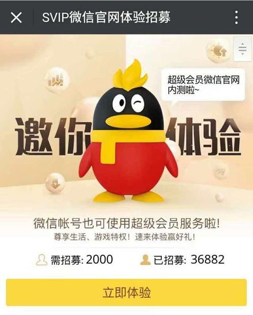 微信要出会员 可以和 QQ 超级会员绑定,在微信端享受超级会员特权 