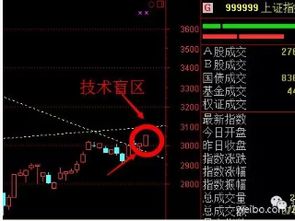 疯牛说股的基本信息