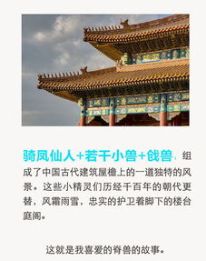 中国古代建筑和现代建筑的区别