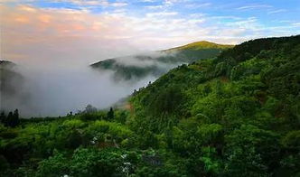 浙江天目山海拔(天目山免费停车场在哪个位置)