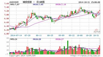 今天城投控股为何停牌