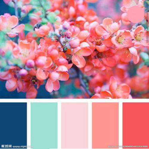 植物配色图片 