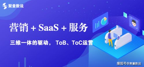 论新经济下短视频SEO系统 短视频营销系统 短视频智能量化制作 聚量数说