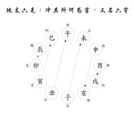 王先生多年命理总结,十二地支三合,半合,在命局起了很多作用 