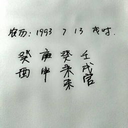 农历1993年7月13日20时的八字是怎样的 