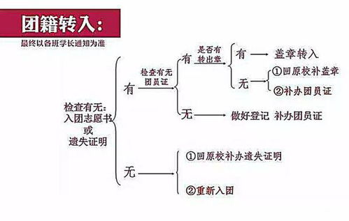 团员证补办申请书范文,团员证和入团申请书丢了怎么办？