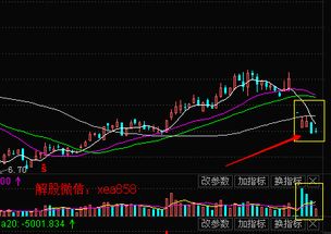 300088长信科技冲高回落意味着什么？